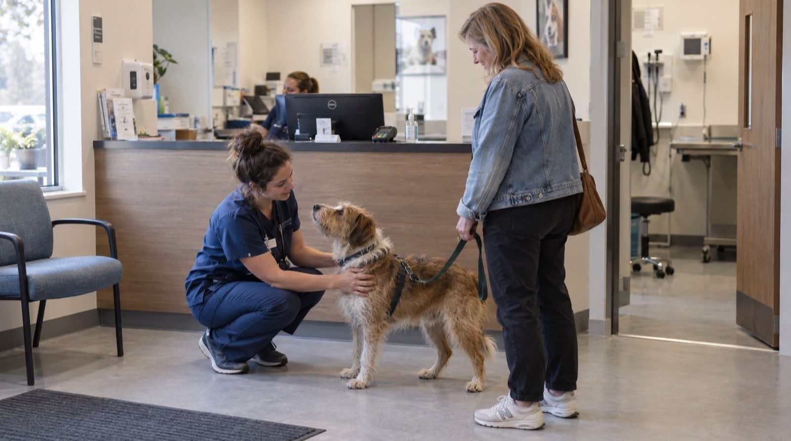 A veterinary receptionist welcoming a client and her dog